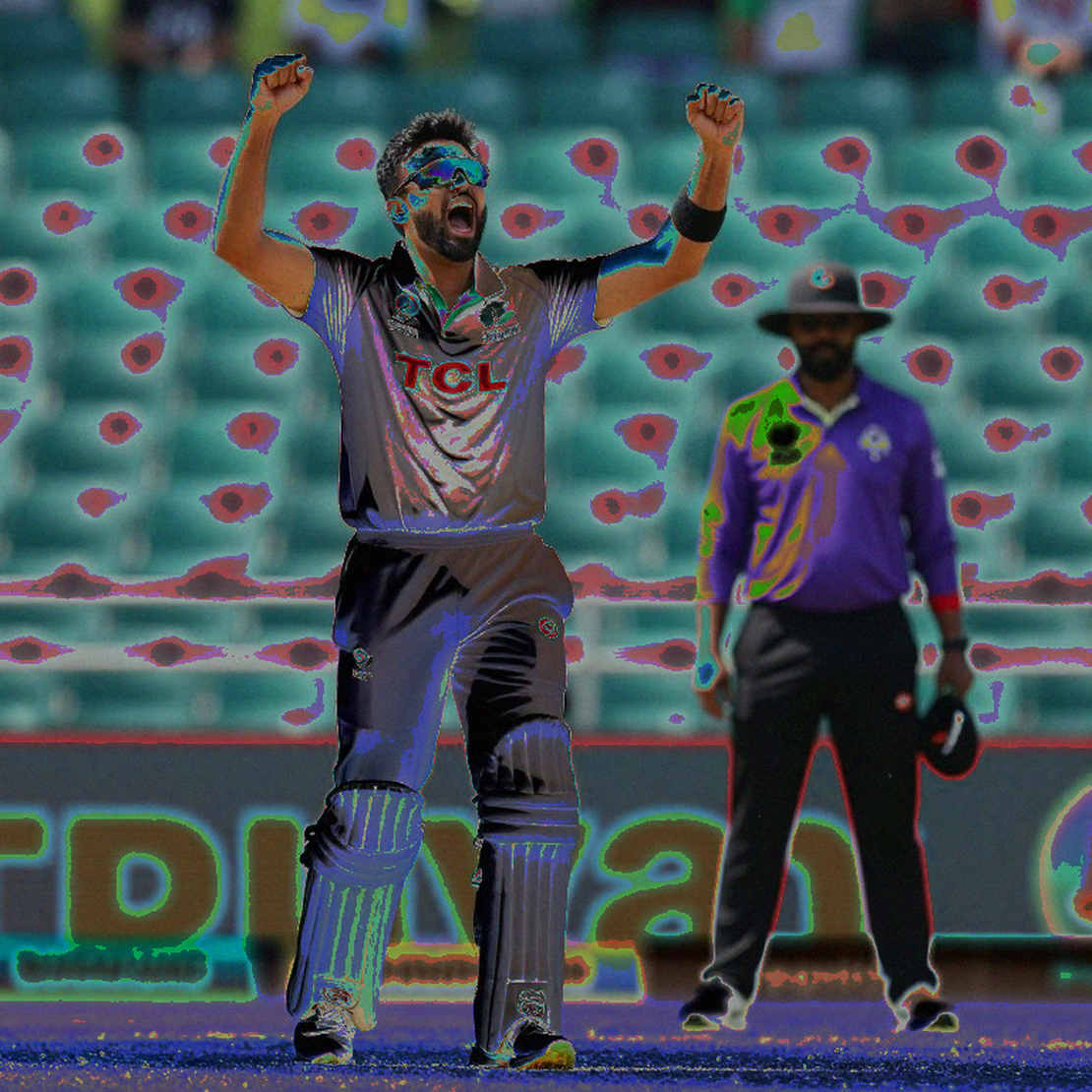 Empty Input, Broken Chain: When the Evidence Chain in Cricket Transfer Analysis Collapses Empty Input, Broken Chain: When the Evidence Chain in Cricket Transfer Analysis Collapses