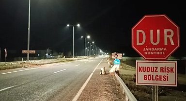 O kentte kuduz alarmı... Karantinaya alındı!