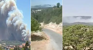 Bolu, Çanakkale ve Mersin'de orman yangını!