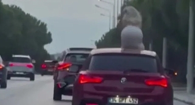 Dans etti, cezayı yedi!