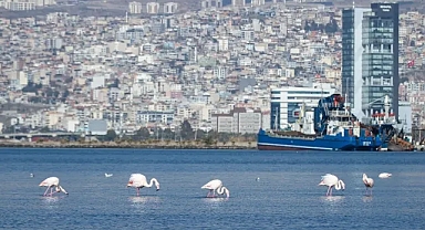 İzmir pilot şehir... İklim krizi ile mücadele sürüyor!