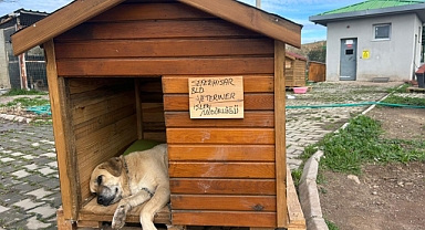 Seferihisar’da “Can Dostlar” için kulübe destek kampanyası