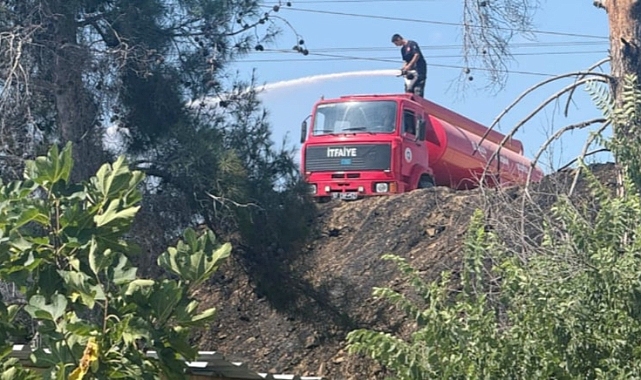 Antalya'da Orman Yangını: Aksu'da Hızlı Müdahale, Serik'te Zorlu Mücadele Sürüyor!